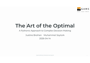 First page of Slides - The Art of the Optimal